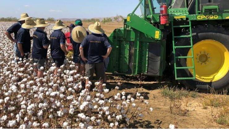 Cotton is already grown, albeit on a relatively small scale, in the Ord River region in Western Australia.