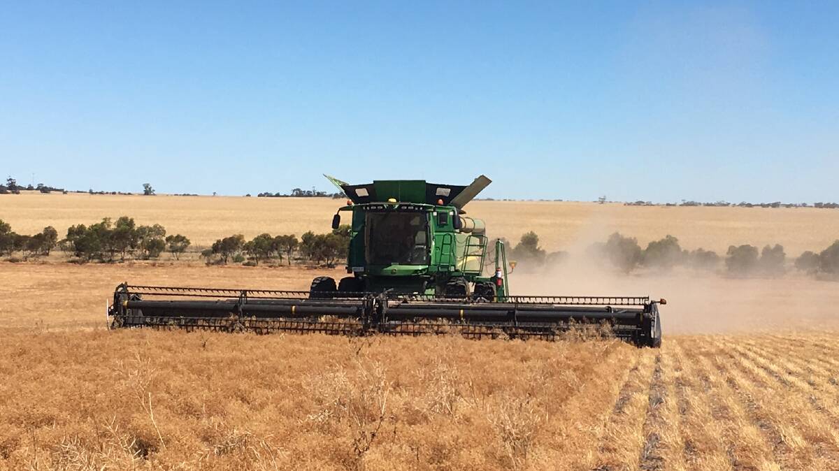 Lentil producers are anxious about the impact of a 30 per cent tariff on exports to India.