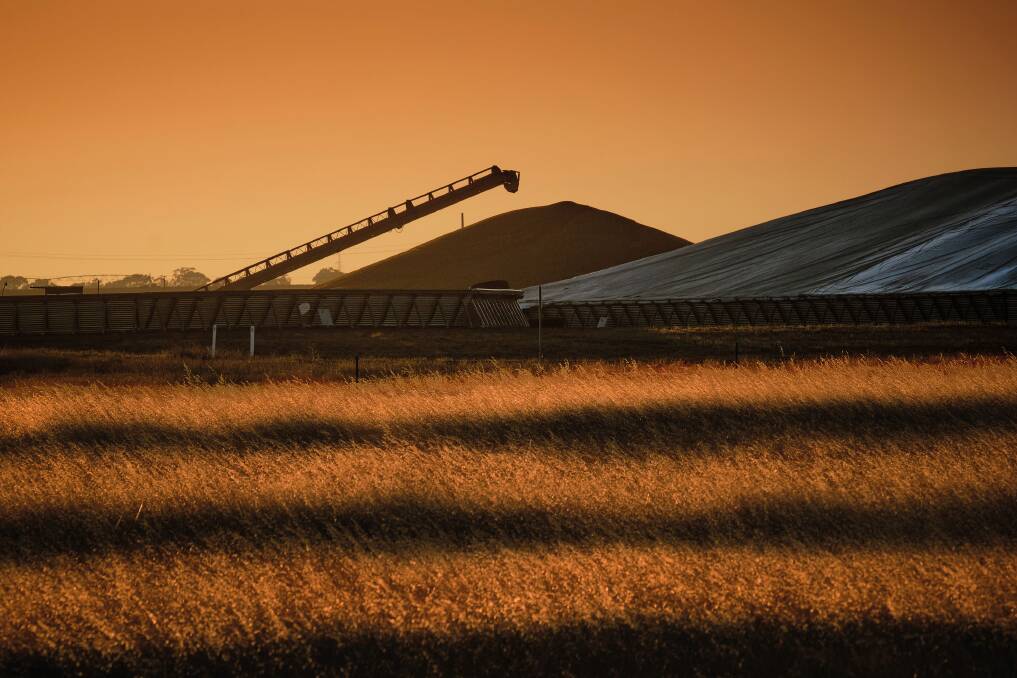 Grain export restrictions are being implemented in Russia in a bid to cool inflationary pressures by boosting upcountry stocks and increasing supply to domestic consumers