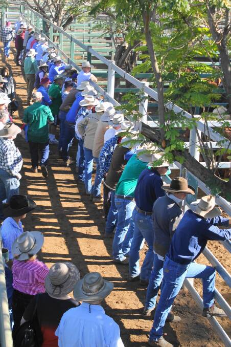 The crowds have dried up at livestock sales but the sector is proving resilient in the wake of COVID-19.