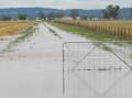 SOGGY: Wet conditions are delaying the finalisation of the summer crop harvest.