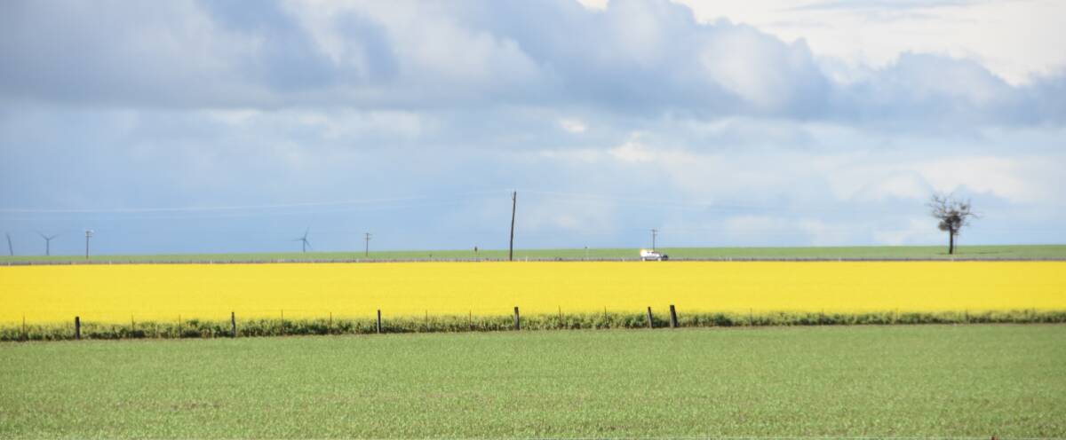 Crops in parts of Victoria are in excellent condition, but they are very much the exception rather than the rule.