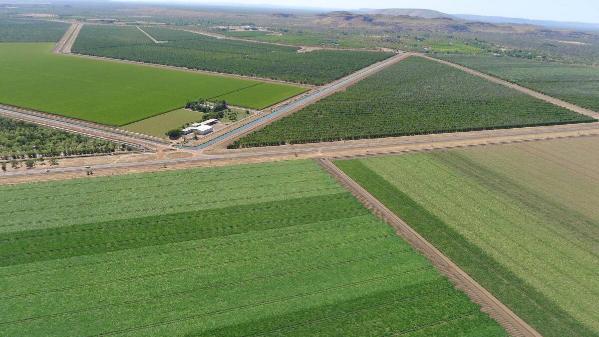 Western Australian fodder manufacturers in the Ord River region can produce a hay crop in just over a month, but can it be freighted to southern Australia economically?
