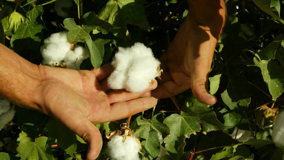 A new partnership between Achmea and Cotton Australia will help cotton farmers focusing on sustainability.
