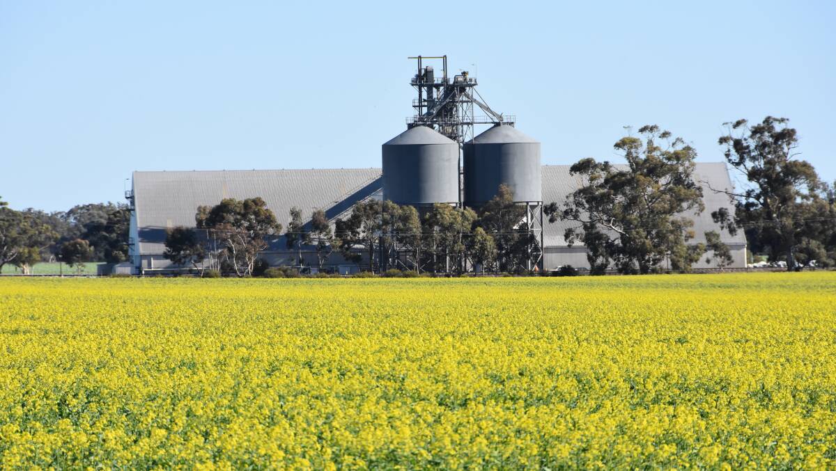 Crops in the northern Wimmera are in good condition, but within half an hour's drive it gets less rosy - an issue common across southern Australia. 