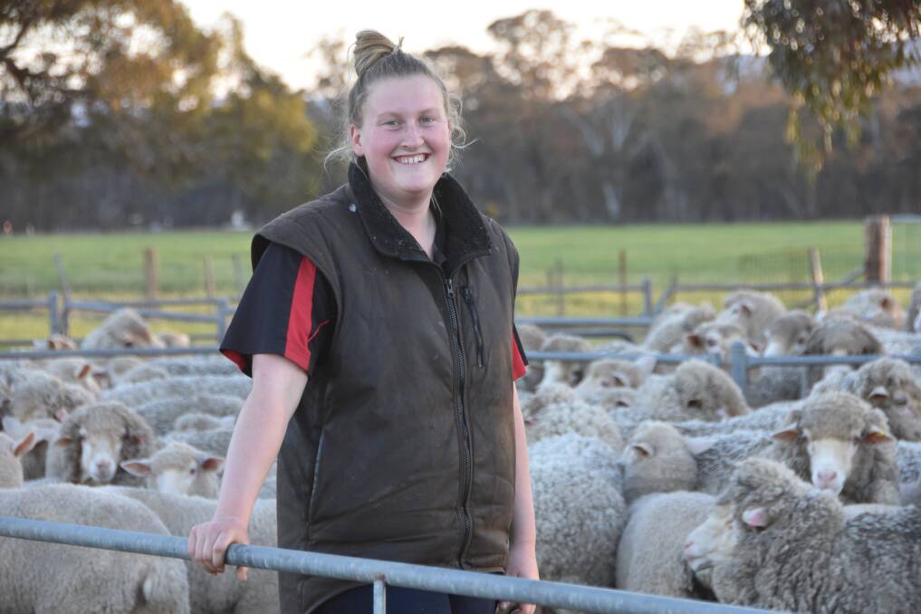 Ellie McDonald, Hopea Suffolk and White Suffolk Stud, in the yards during shearing for her family's commercial Merino flock.