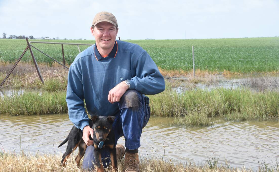 Matt Johns and pup Whistler at his family farm at Crymelon, north-west of Warracknabeal, with the water in the table drain in front of the paddock of Cosmick wheat an unusual feature in the district in October.