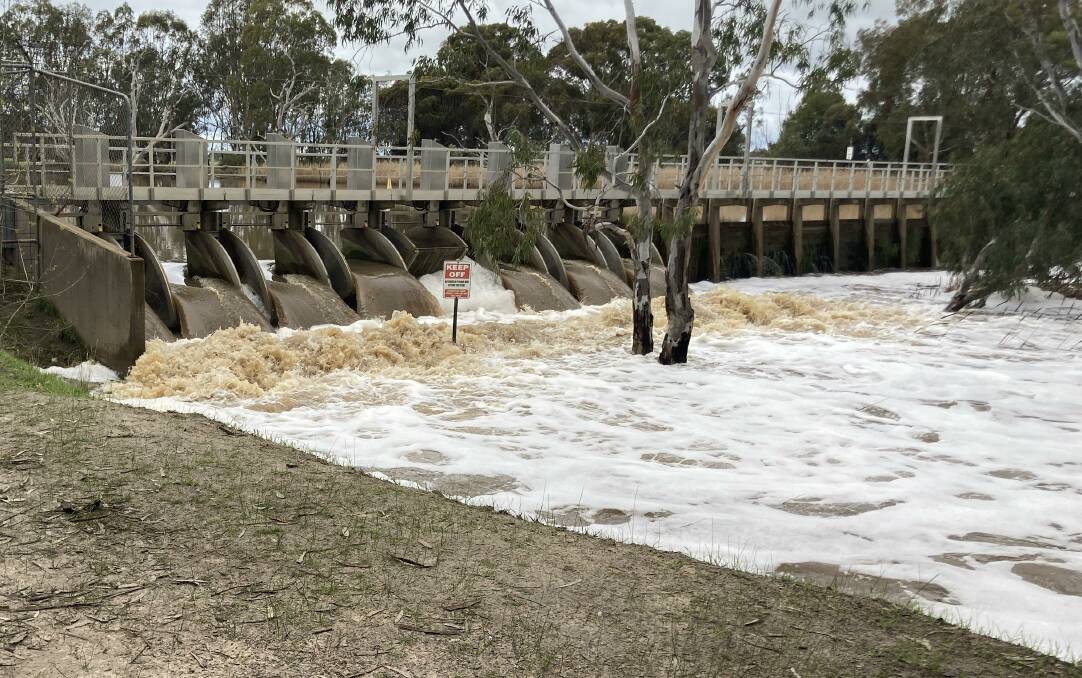 The Wimmera River was raging over the weir in Horsham on Saturday, with water making its way into Lake Hindmarsh at the end of the river system following healthy July rainfall.