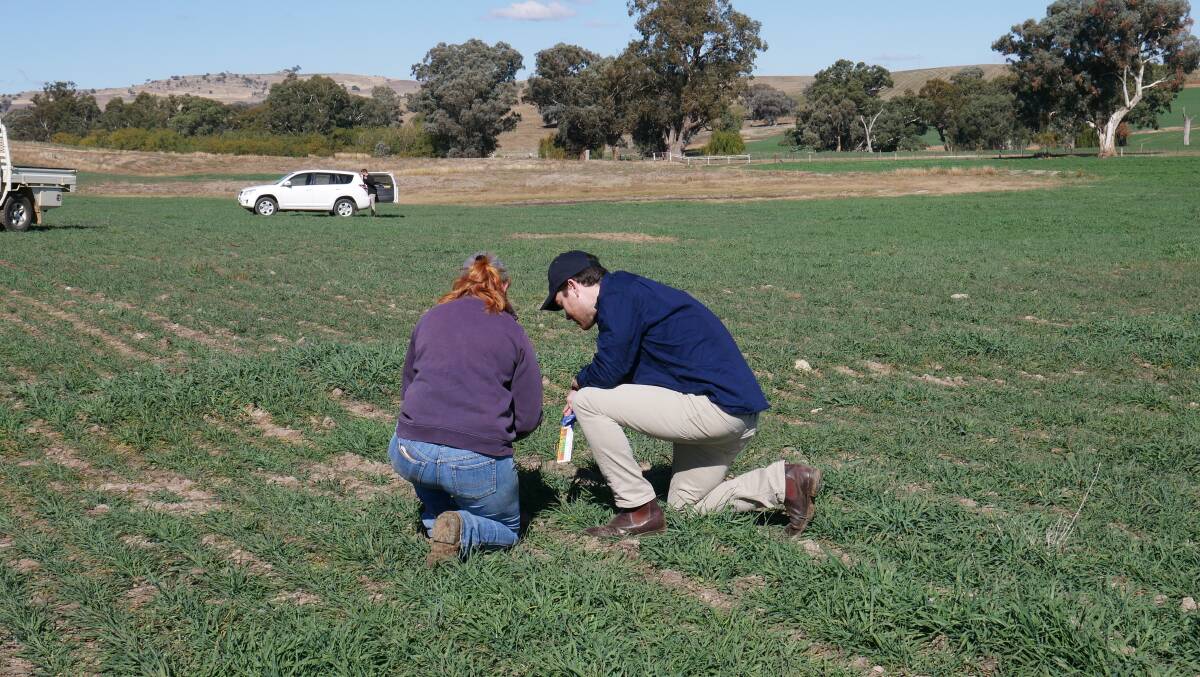 Amy Walker, assistant manager at Breakfast Creek Station and John Fargher, Agriwebb, conduct soil samples.