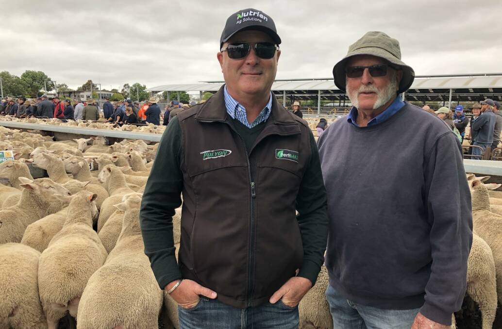 Craig and Joe Hole with the pen of sheep they purchased at Naracoorte last week. Craig, also an agronomist, is sporting the new Nutrien Ag Solutions gear following the Canadian business' takeover of Landmark.