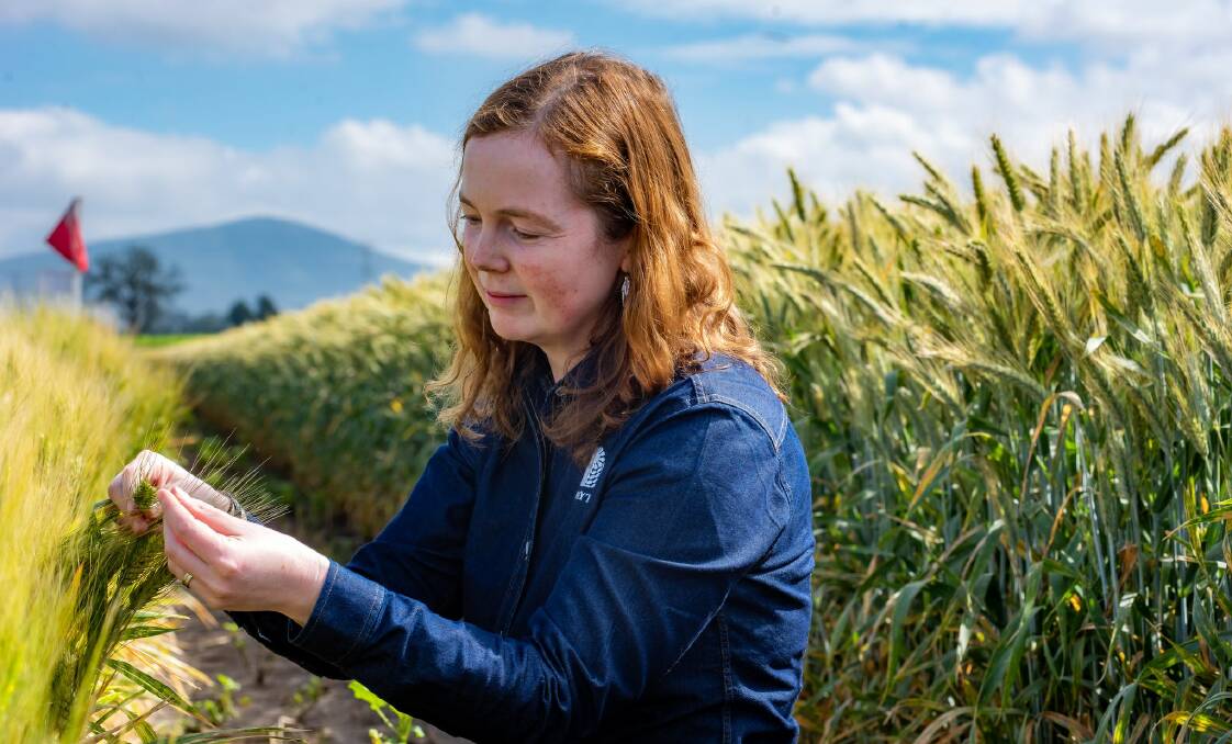 Alison Bentley, CIMMYT wheat program leader, says the world needs to have a serious conversation about food security.