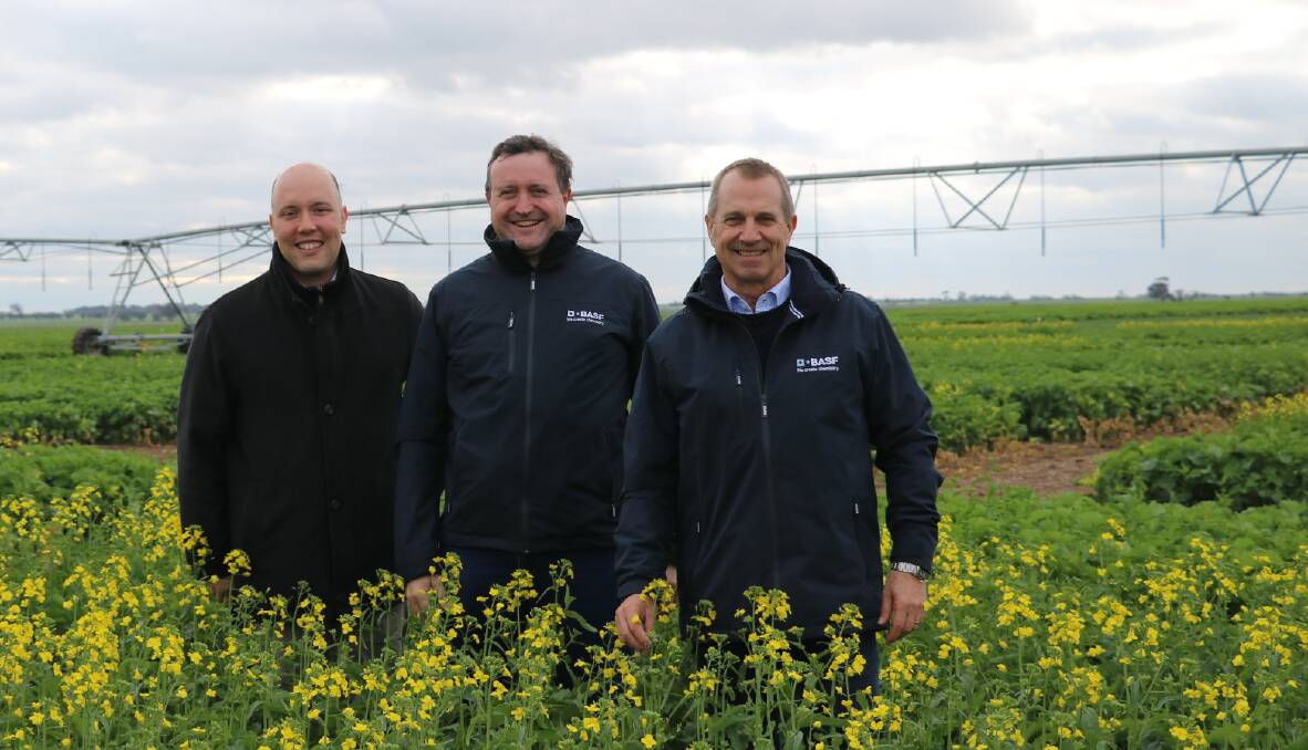 Gustavo Palerosi Carnerio, senior vice president of agricultural solutions for BASF Asia Pacific, Rob Hall, BASF head of seeds Australia / NZ and Gavin Jackson, head of agricultural solutions BASF Australia / NZ in a canola trial.