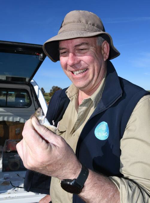 CSIRO researcher Steve Henry is warning grain growers in Victoria and SA to monitor mouse numbers.