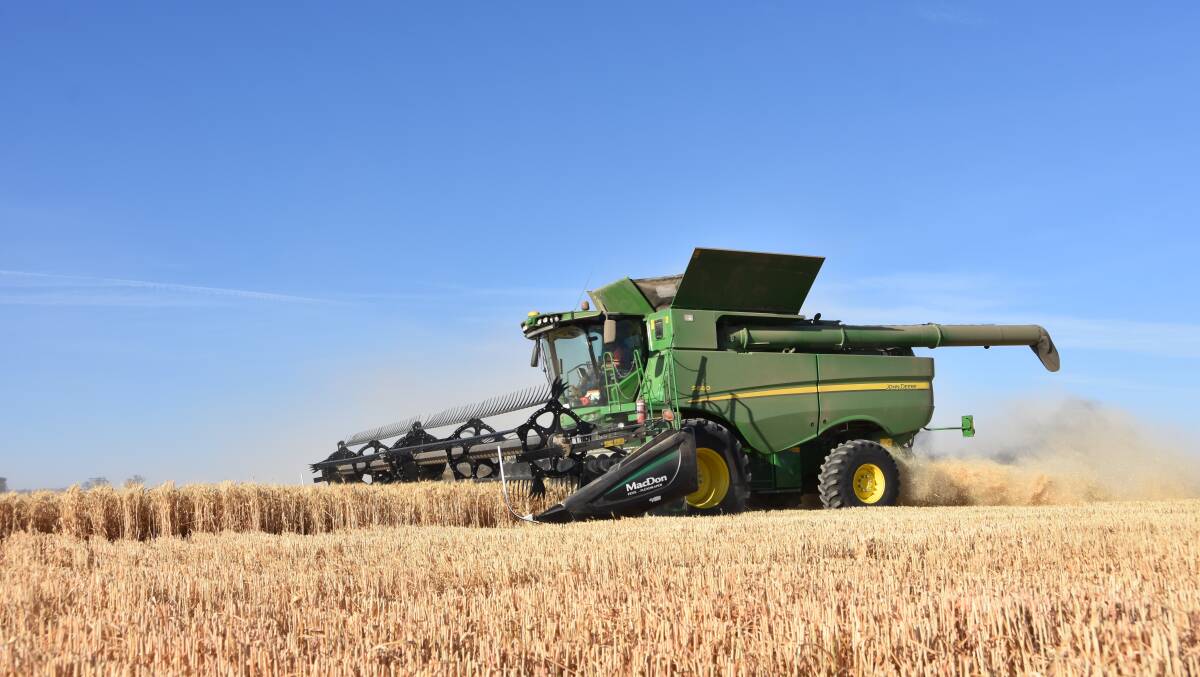 Australian wheat was the highest priced on the world export market last year, while Australia also enjoyed the biggest average price hike from 2009 to 2019 according to market researchers IndexBox.