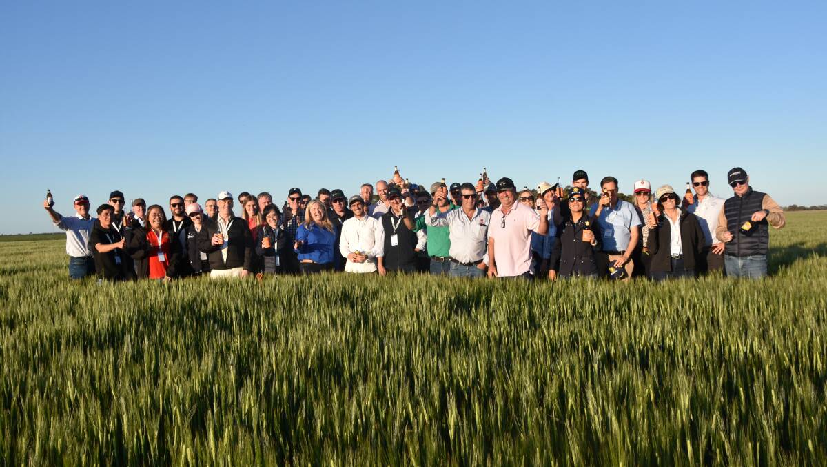 The RMI Analytics delegation inspected malt barley crops in-situ in the Wimmera last week. Photo by Gregor Heard.