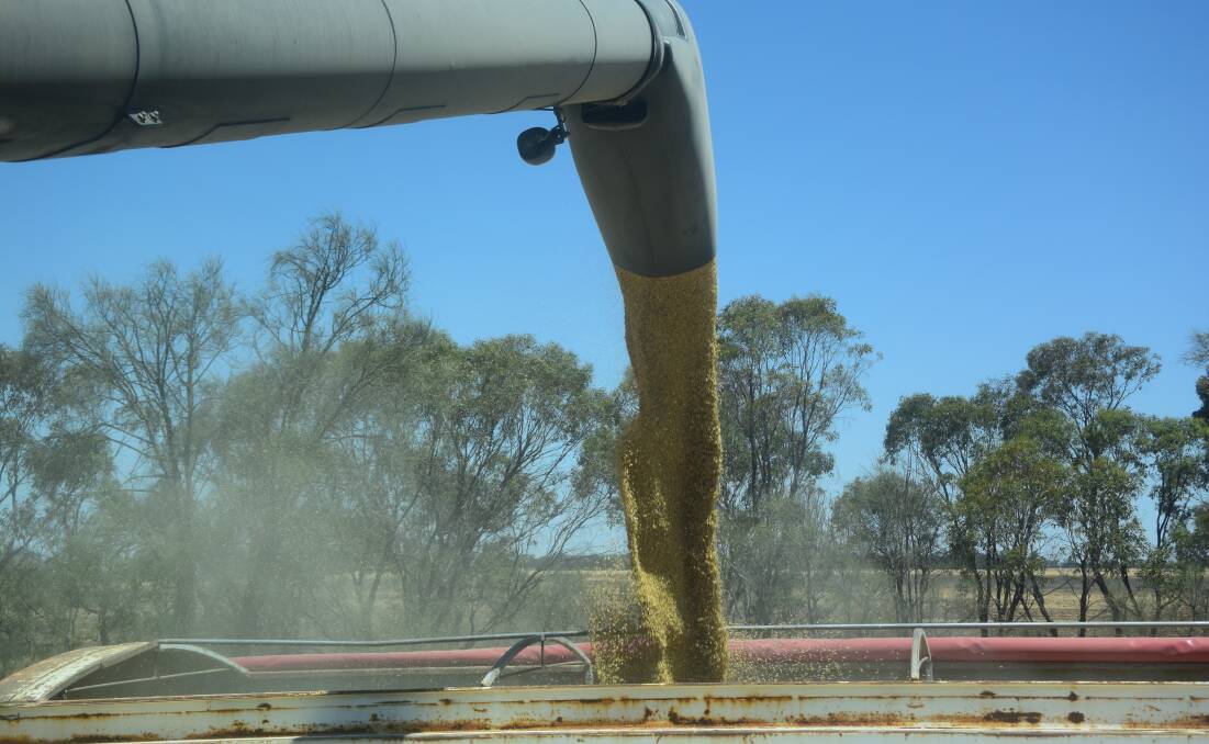 China may not have been buying Aussie barley but its purchases elsewhere are keeping prices for the commodity up.