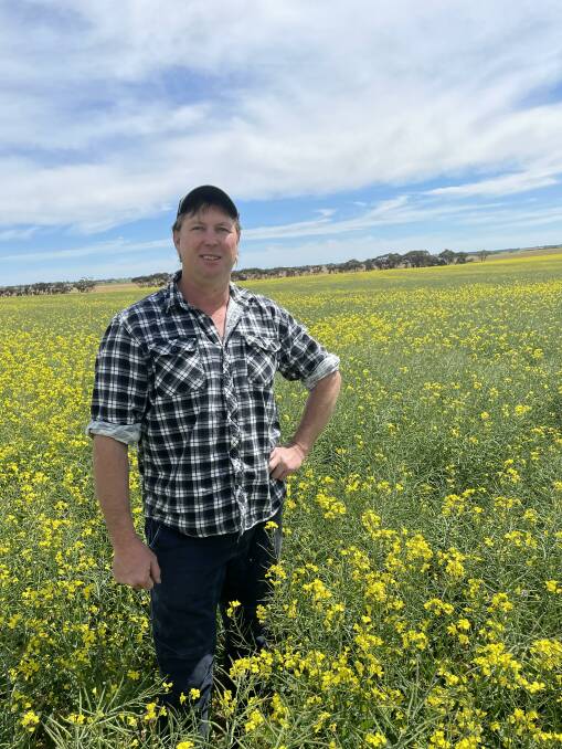 Wimmera farmer Nathan Albrecht is cautiously optimstic about his canola crops this year, after good October rain.