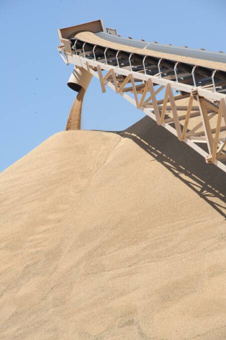 Riordan Grain Services will lease Edenhope Storage off Emerald Grain this year and will look to buy the facility later.
