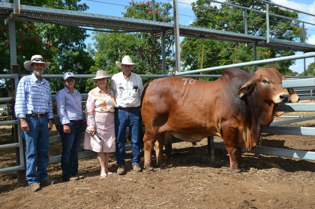 Gold Nugget: Paul Herrod, Ponderosa Brahmans, Katherine, NT, with his daughter Lorre, paid $54,000 for Somerview Nugget 2900 (P), from vendors Glenda and Brian Kirkwood, to top the Red section of the 2019 Big Country Brahman Sale.