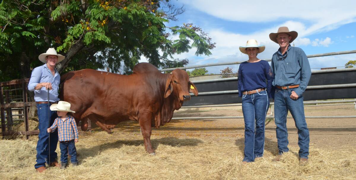 Ashley Kirk and his son Arnie, Rockley Brahmans, Moura, with the $90,000 top price bull of the red section for the 2021 Big Country Brahman Sale, Rockley Magnar 266 (IVF) (P/S), and purchasers Eugene and Jess Mollenhagen, Mountain Springs Brahmans, Mt Perry.