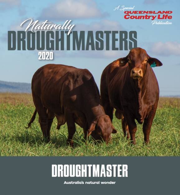 Click on the image above to read the Naturally Droughtmasters special publication in its entirety.