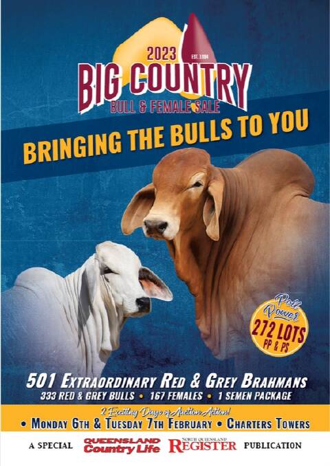 Click on this image to read the 2023 Big Country Bull & Female Sale 24-page preview online.