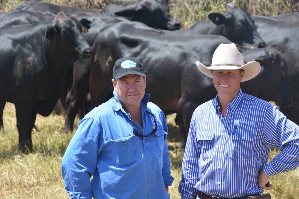 Inspection: Chris Greenwood of Morganbury Meats with Stephen Pearce of Telpara Hills Brangus, viewing steers sired by Telpara Hills bulls which are being used in Chris's wholesale meat operation.