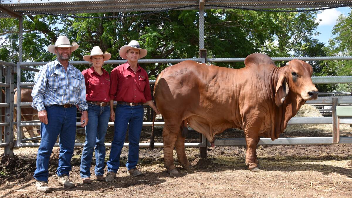 Kariboe Valley Titan 1069/8 (P) achieved the third highest price of the red section at $35,000. Purchaser Brett Hick, Lindfield, Julia Creek, is pictured with Kariboe Valley Brahmans' Tarsh and Mark Allen, Thangool.