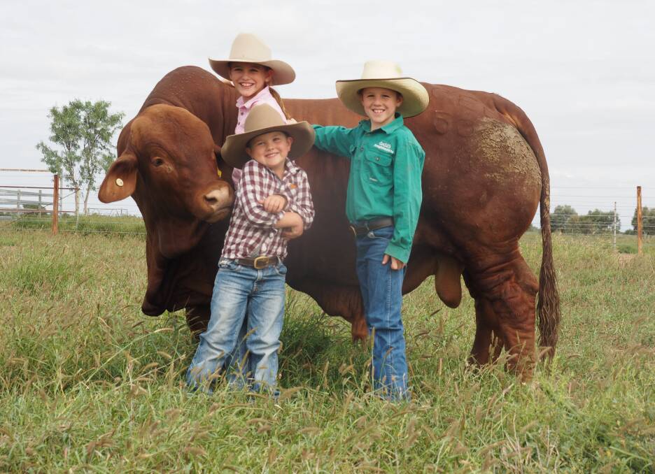 All smiles: Adam and Shelley Geddes' children Makenzie, Archie and Connor on Bauhinia Ridge.
