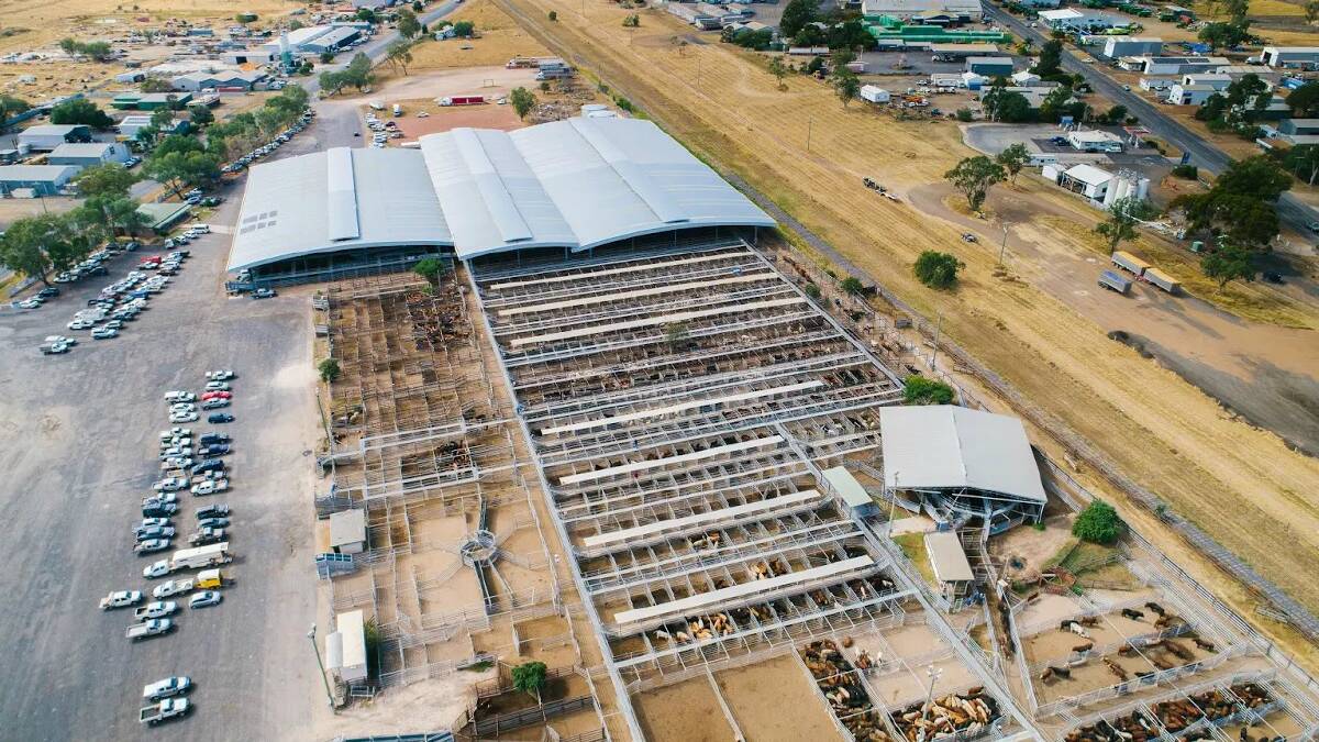 The Dalby Saleyards is strategically located at the crossroads of three major highways, giving it easy access to rail transport and proximity to meatworks, feed-on properties and feedlots.
