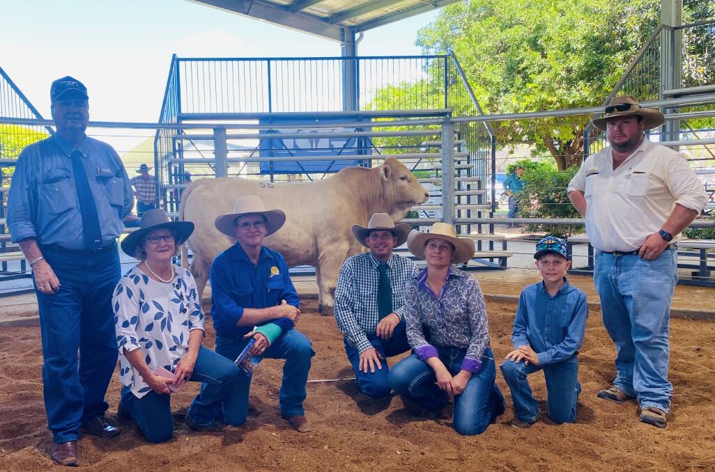 Peter Brazier, GDL Dalby, buyers Kathleen and Tom Gleeson, vendors Trevor, Lolita and Samuel Ford Wattlebray Charbrays and Bill Seeney, Ray White Barcaldine, with 2023 top-price bull, Wattlebray Swepson. Picture Supplied
