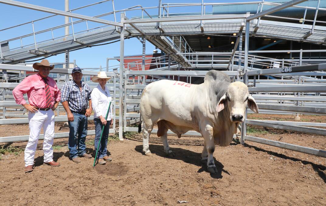 Incredible Kody: The top selling Brahman bull overall on the opening day of the 2018 sale was the $32,000 Stewart Park Kody 110 (AI) (ET) (H), pictured with Elders auctioneer, Randall Spann, buyer Shane Griffin, Shandra Stud, Ogmore and vendor, Debbie Frampton, Little Creek Stud, Dallarnil. Photo: Kent B Ward.