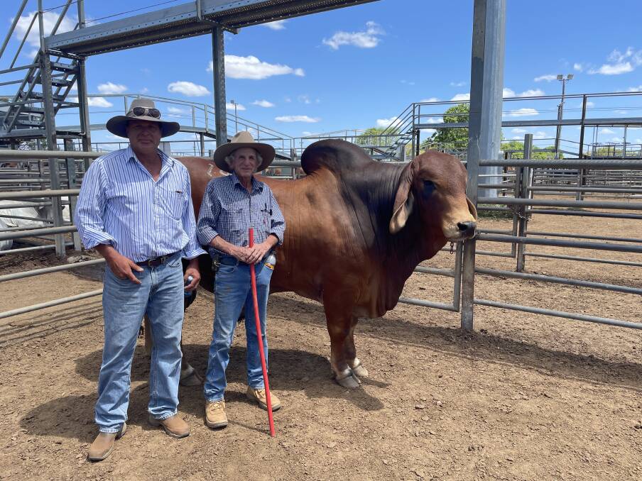 Pure poll: The $36,000 top price bull of the 2021 Gold City Brahman Sale, Doonside Prince Eagle (PP) with buyer Darren Marks Winvic, Kilcummin, with vendor Bill Geddes, Doonside Stud, Rockhampton.
