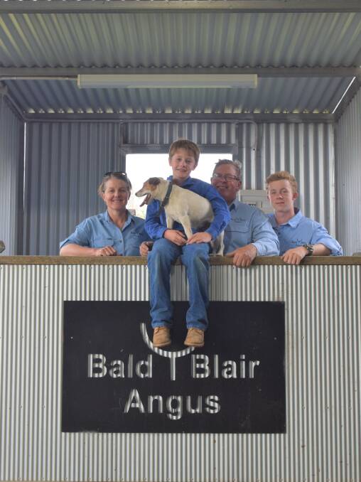 At home: Sam and Kirsty White with their children Abbott and Arthur who represent the fourth generation of the family on Bald Blair. Photo: Al Mabin.