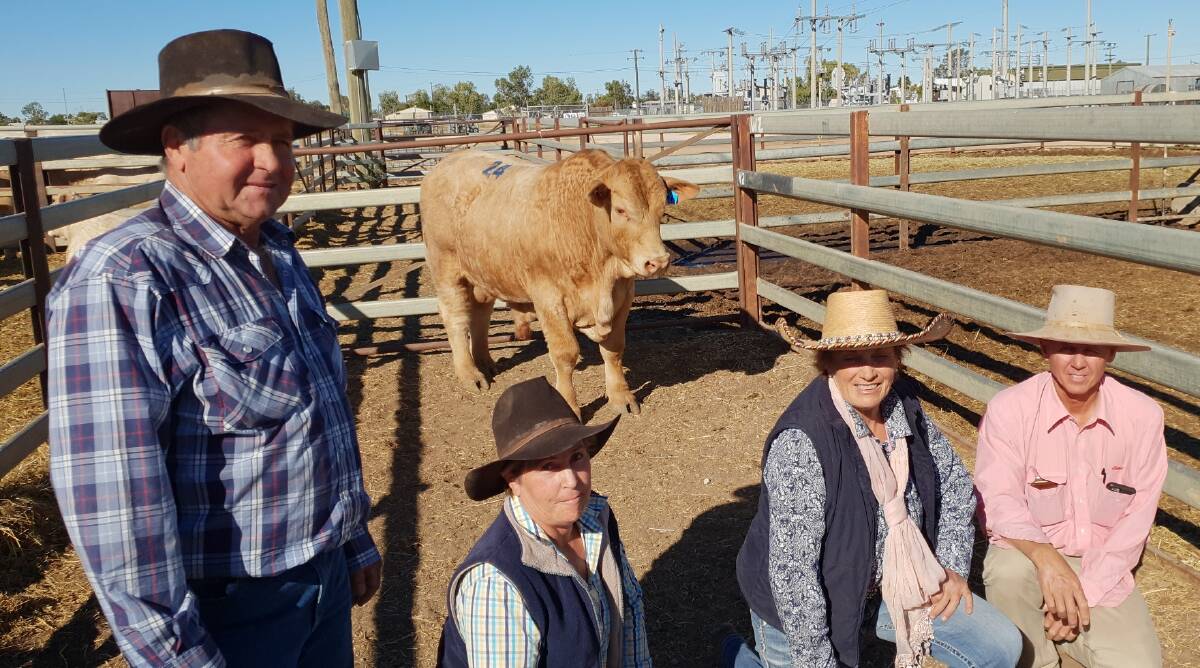 Top in 2019: The top price bull of the 2019 sale, Fairfield N331E, with buyers Jim and Sandra Smith, vendor Belinda Hindle and Elders Winton manager Scott Taylor.