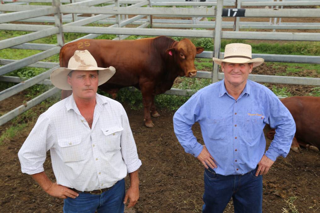 Great potential: Robert Leather, Barfield Station, Moura, with Tremere Pastoral manager Swin Hudson standing in front of 2016 annual African Genetic Sale equal-top priced bull TRE150051.