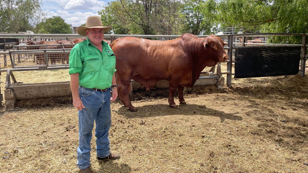 Tucker's terrific: Donald Burnett, Mt Douglas Pastoral Co, Belyando, with Lamont Tucker (PP) D4, which he purchased for the sales' equal third top price of $38,000.