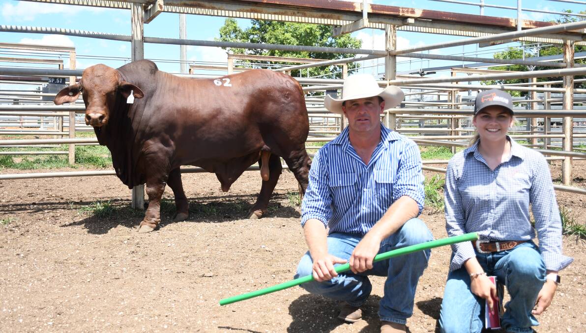 The $26,000 top priced bull of the 2023 Highlands Droughtmaster Sale, Oasis Sovereign, with vendor Adam Geddes, Oasis stud, and buyer Maddy Carter, Jemcar Droughtmasters. Pictures by Clare Adcock 