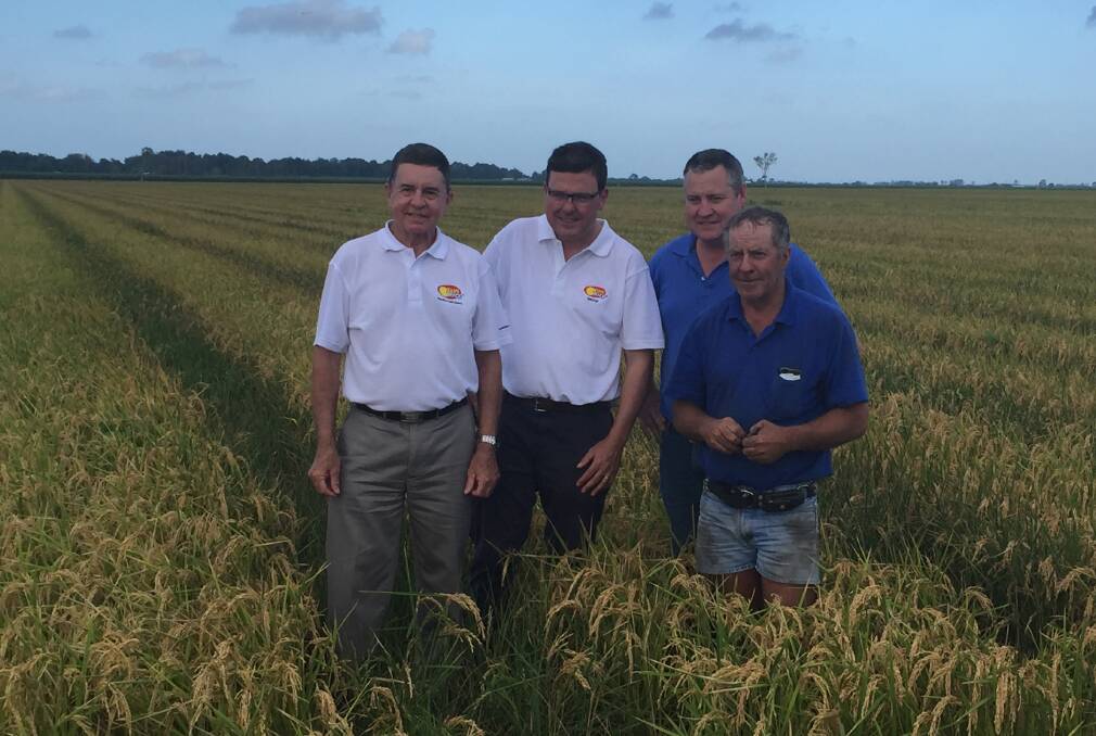 Head of SunRice Grower Services, Mike Hedditch, with SunRice general manager Growers Services and Agronomic Development Tom Howard, SunRice director John Bradford and Giru farmer Rob Stockham.
