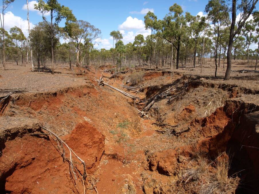 The gully at Payne’s Lagoon at the top of the Hervey’s Range will be the focus of a field day on Tuesday, April 26, for Upper Burdekin landholders wanting to see gully rehabilitation in action.