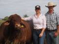 Satisfying feeling: For Shelley and Adam Geddes, the most satisfying part of their work is seeing how Oasis Droughtmaster genetics are breeding on and providing success for their clients.