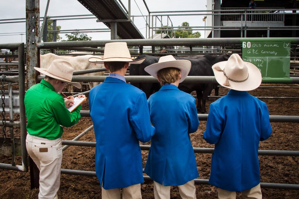 Be the judge: The Junior Judging Competition gives young judges a better idea of the Norths' commercial cattle industry. Photo: ESP Family Photography.