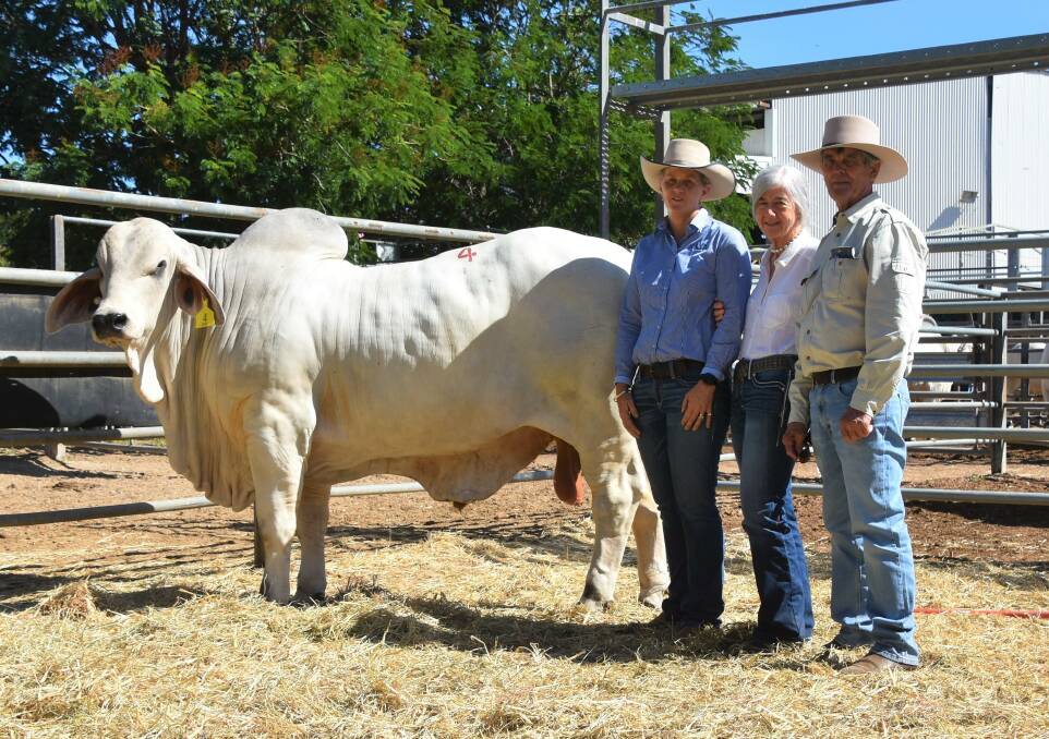 Pam Davison, Viva Brahmans with Sue and Harry Shann, Suttor Grazing, Myall Springs, Collinsville. The Shann's purchased Lot 4 Viva Garth 1417 (P) from the Davison's for $30,000.