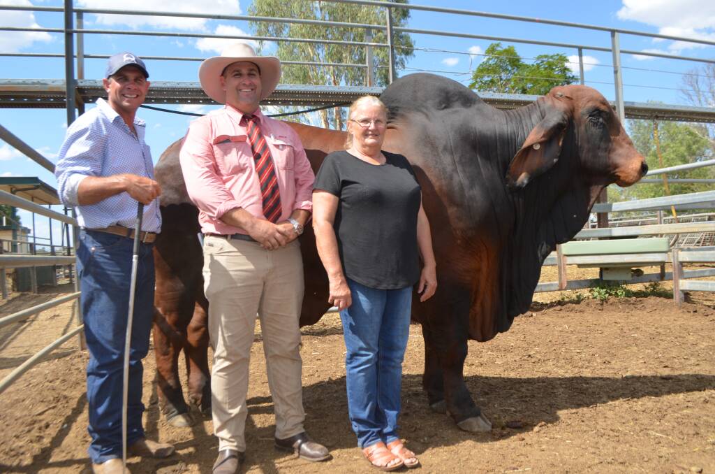 Record setter: Vendor Mitch Cole, Lapunyah stud, Elders sale agent Anthony Ball, and buyer Lindy Fry, Arafura, Normanton, with the $60,000 top price bull of the 2020 Gold City Sale Lapunyah Walker (PS).