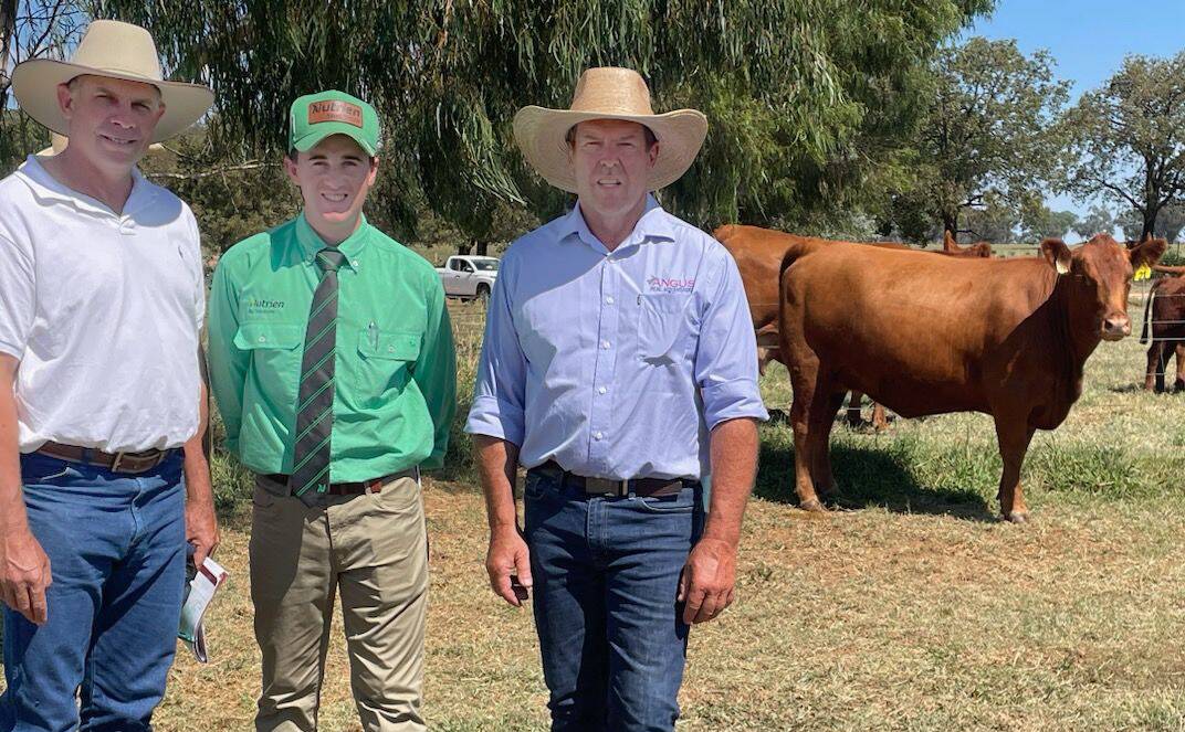 Mitch Cole, Coley Cattle Company, Ravenshoe, Qld, Matt Campion, Nutrien, and vendor David Hobbs, Molong, and equal top-priced female, Round-Em-Up Dina S46.
