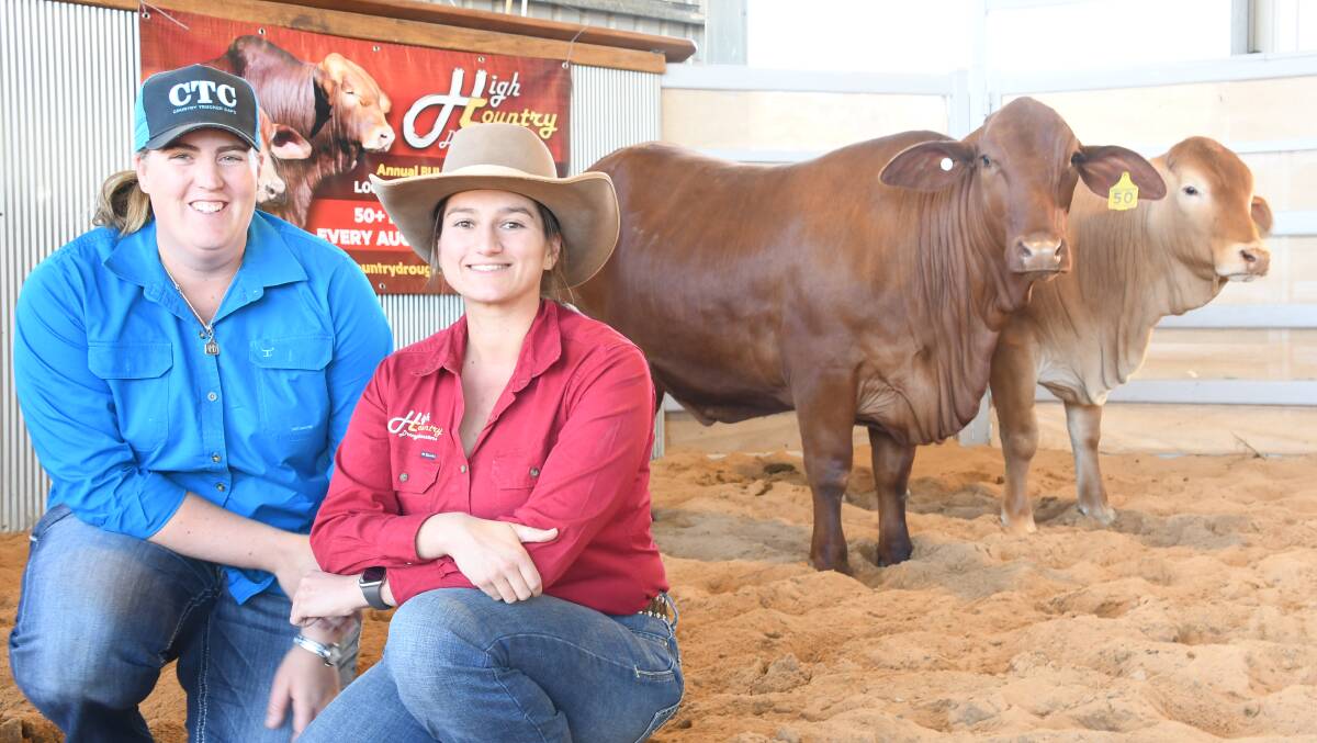Amy Davenport Kenview Droughtmasters, Laidley and Steph Laycock with the $10,000 female High Country Lucia (S)