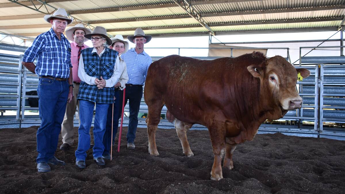 Laurence and Patricia Hack with Elders agent Anthony Ball and Seamus and Anthony Graham, Talana Limousins.