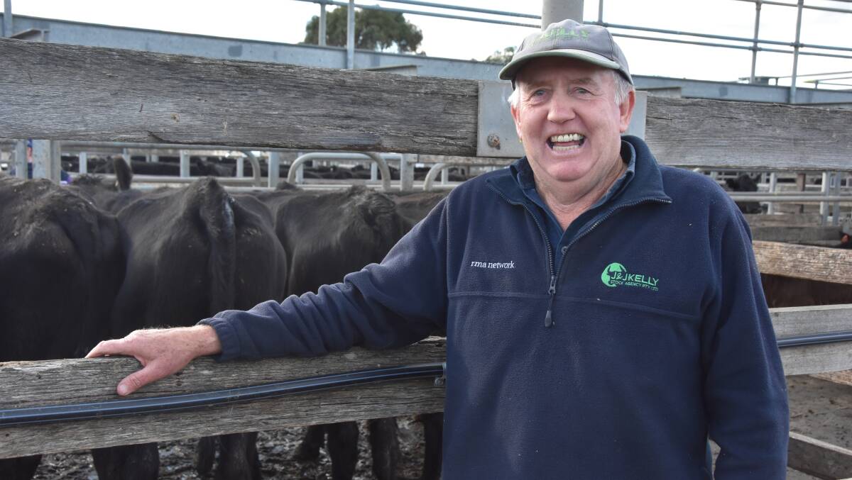 PRICE CORRECTION: Warrnambool stock agent and auctioneer Jack Kelly, JJ Kelly, said prices had dropped prior to last week's store market.