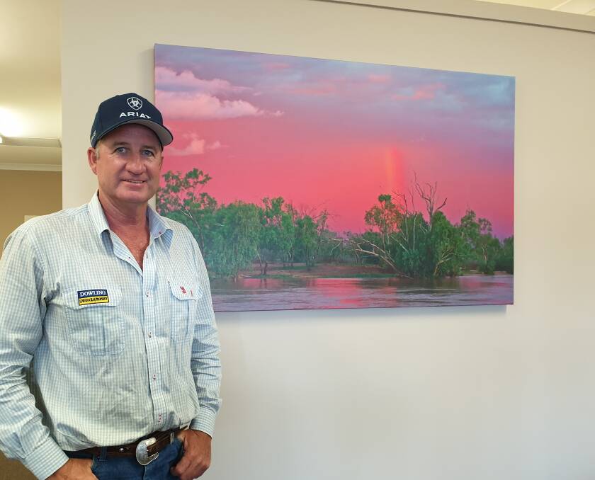 Cloncurry agent Peter Dowling, pictured with an Ann Britton print of the Burke River at Boulia, has sold only six decks of cattle from the Queensland portion of his business since February.