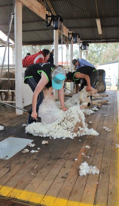The shearing board at Charleville. Picture: Sally Gall